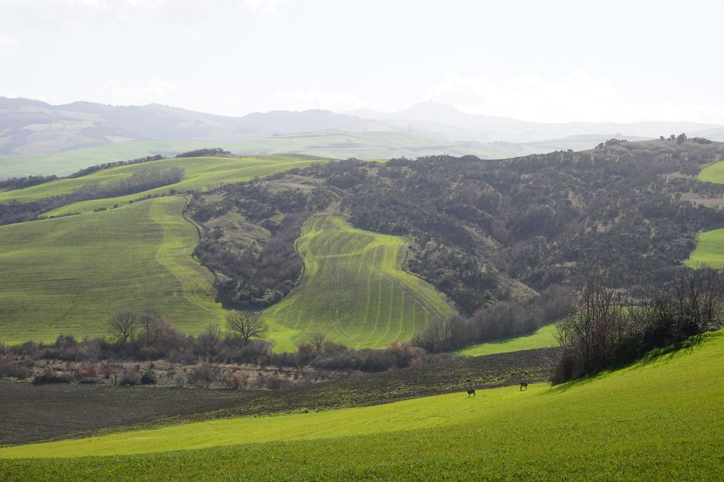 Villa La Tana Del Bianconiglio Castiglione dʼOrcia Exterior foto