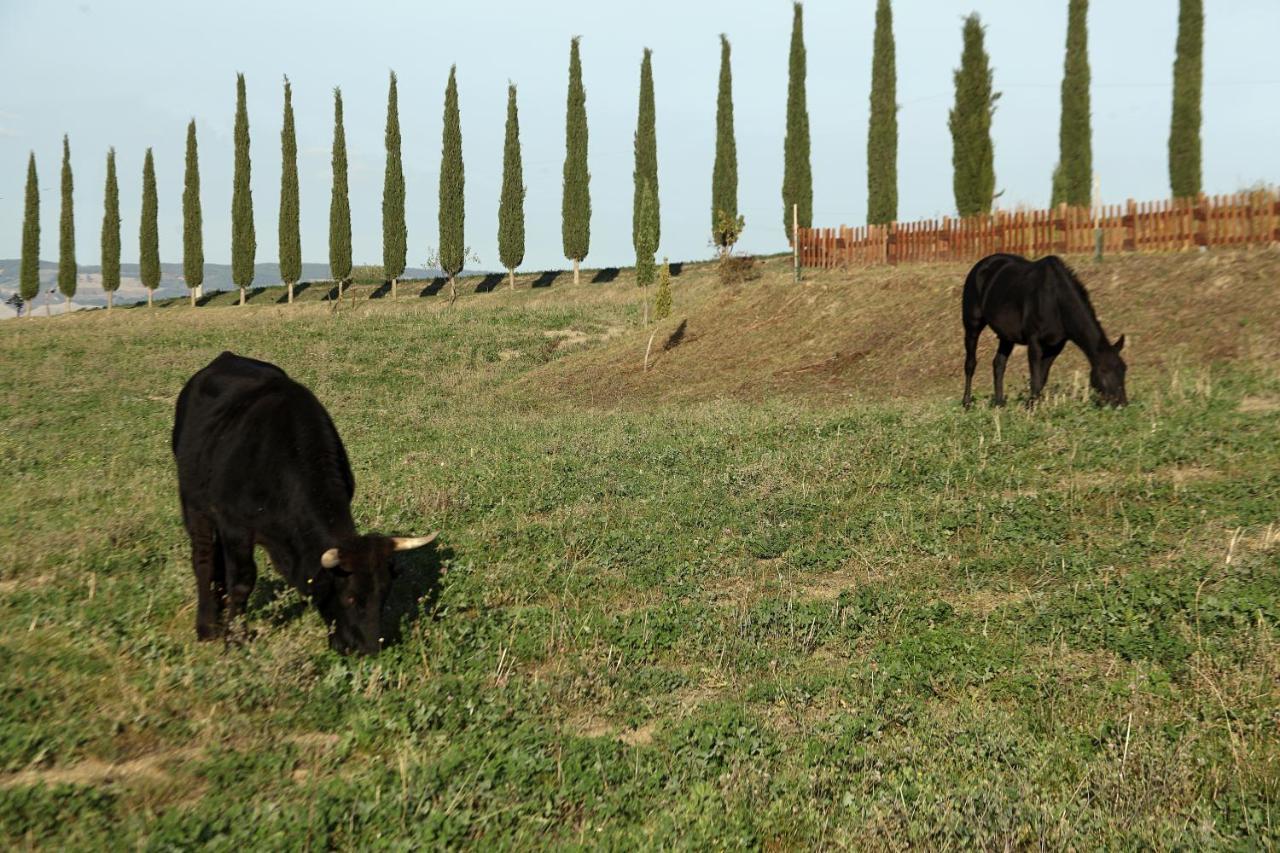 Villa La Tana Del Bianconiglio Castiglione dʼOrcia Exterior foto